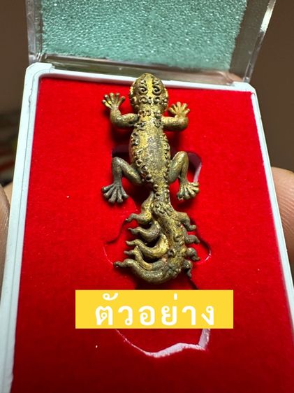 หลวงปู่ศิลา สิริจันโท ขี้้เกี้ยม9หาง
