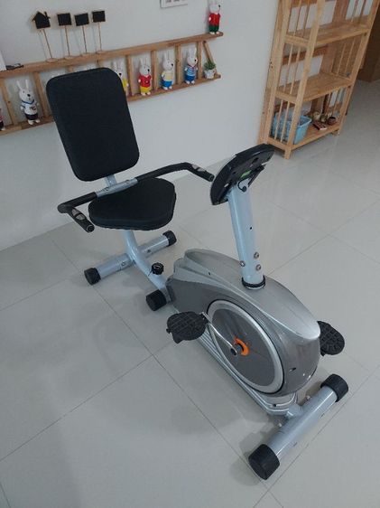 จักรยานเอนปั่น รูปที่ 10