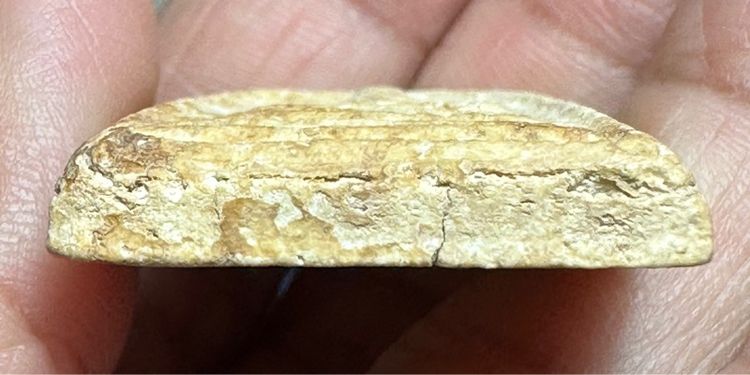 🙏พระสมเด็จบางขุนพรหม พิมพ์เส้นด้าย🙏พระสมเด็จล.ป.นาค วัดระฆัง พิมพ์เทวดาเล็ก ปี2485  องค์ละ1850 รูปที่ 5