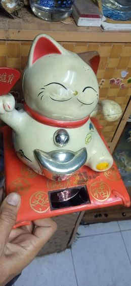 แมวกวัก