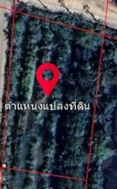 ขายด่วน ที่ดินขนาด 465ตร.ว. เส้นพรานนก–พุทธมณฑลสาย 4 ตัดกาญจนาภิเษก ติดถนนใหญ่ ทำเลที่กำลังเติบโตอย่างต่อเนื่อง รูปที่ 2