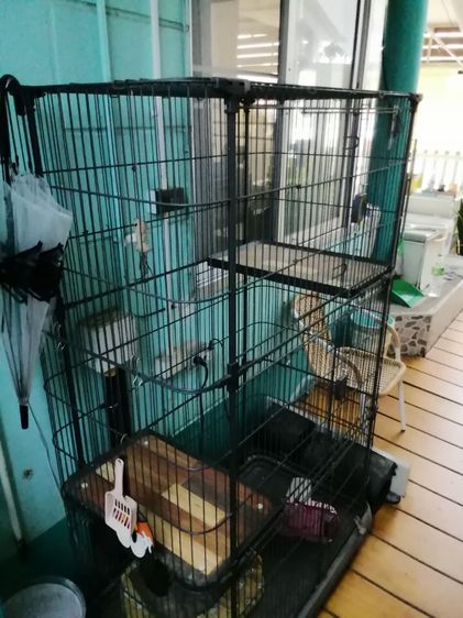 กรงสัตว์เลี้ยง