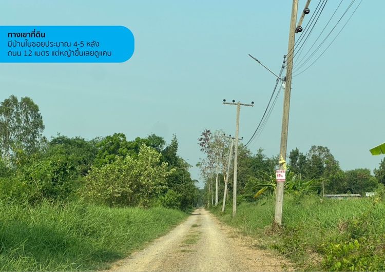 ขายที่ดินเปล่า 2 ไร่ เจ้าของขายเอง ไร่ละ 1.6 ล้าน คลองห้า คลองหลวง ปทุมธานี รูปที่ 4