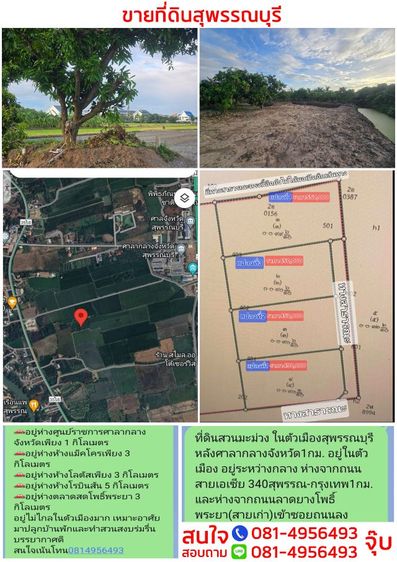 ขายที่ดินบรรยากาศดีในตัวเมืองสุพรรณบุรี ผ่อนกับเจ้าของได้