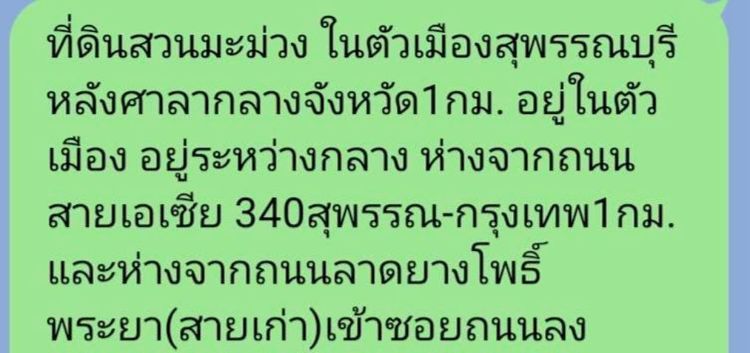 ขายที่ดินบรรยากาศดีในตัวเมืองสุพรรณบุรี ผ่อนกับเจ้าของได้ รูปที่ 2