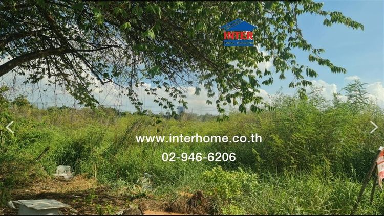 ไม่ใช่ ที่ดินเปล่า 367 ตร.ว. ที่ดินเปล่า ซอยพระแม่การุณย์10 ถนนติวานนท์ ถนนศรีสมาน ปากเกร็ด นนทบุรี รูปที่ 3