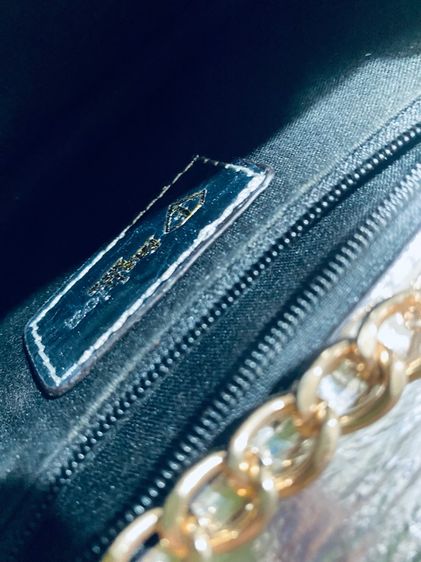 กระเป รูปที่ 14