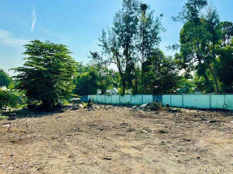 ขายที่ดินดอนเมือง 98 ตารางวา รูปที่ 4