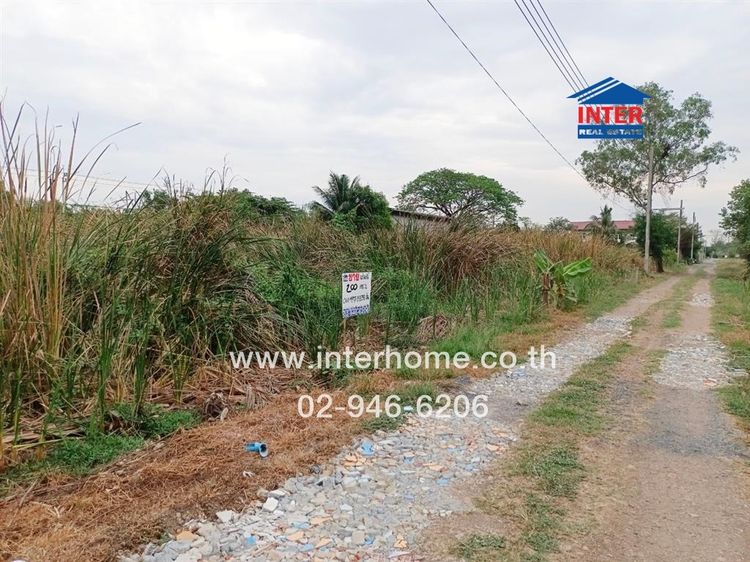 ที่ดินเปล่า 200 ตร.ว. ที่ดินเปล่า ใกล้สวนคุณธี ฝรั่งไส้แดง ถนนสุวินทวงศ์ ถนนคลองเก้า เขตหนองจอก กรุงเทพมหานคร