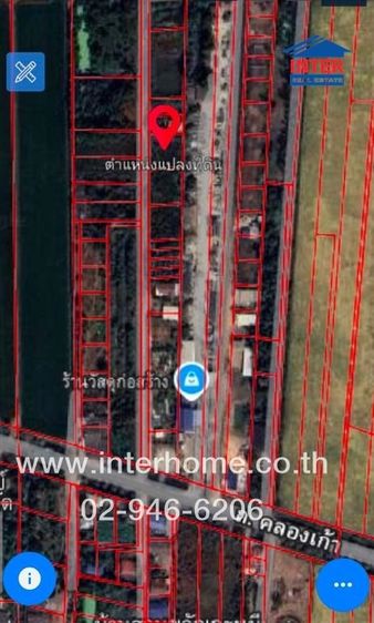 ไม่ใช่ ที่ดินเปล่า 200 ตร.ว. ที่ดินเปล่า ใกล้สวนคุณธี ฝรั่งไส้แดง ถนนสุวินทวงศ์ ถนนคลองเก้า เขตหนองจอก กรุงเทพมหานคร รูปที่ 4