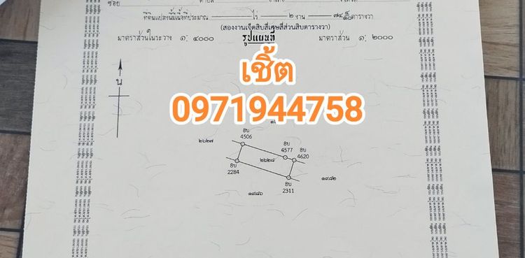 ขายที่ดิน นาข้าว 2 งาน 74 ตรว.