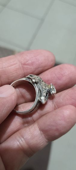 แหวนเงินเก่าแท้เสือ รูปที่ 12