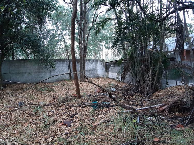 ขายที่ดินเปล่าสวย 200 ตร.วา อ.ปากช่อง อยู่ในชุมชน ริมถนนบายพาสปากช่อง-โคราช เหมาะปลูกบ้านหรือทำบ้านเช่า อพาร์ทเม้นท์ ราคา 850,000 รูปที่ 3