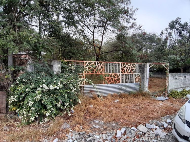 ขายที่ดินเปล่าสวย 200 ตร.วา  อ.ปากช่อง อยู่ในชุมชน ริมถนนบายพาสปากช่อง-โคราช  เหมาะปลูกบ้านหรือทำบ้านเช่า อพาร์ทเม้นท์ ราคา 850,000 