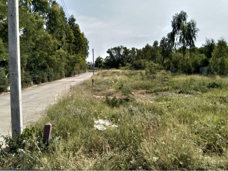 ที่ดินเปล่า 101.1 ตร.ว ใกล้ตลาดบางระจัน