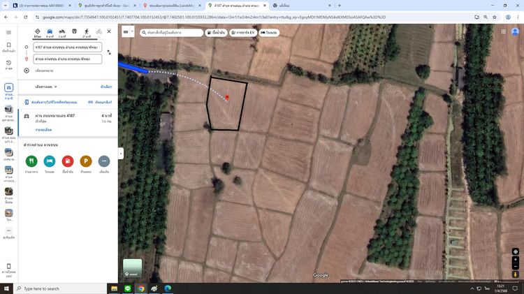 ที่ดิน(ที่นา) รูปที่ 4