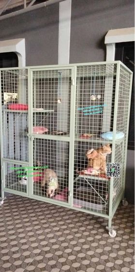 บ้านสุนัข บ้านแมว กรงนกทุกขนาด ทุกแบบราคาส่ง งานสวย วัสดุแข็งแรง ทำสร้างทุกขนาด รั่วกั้นสุนัข คอก และอื่นๆ เหล็ก สแตนเลส บ้านเณ่อร่า รูปที่ 5