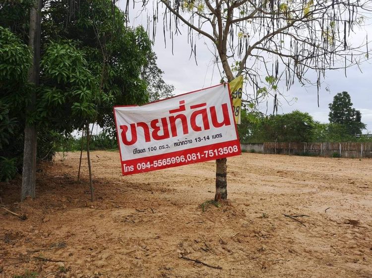 ไม่ใช่ ขายที่ดินขอนแก่น สวย 100 ตรว อ.กระนวน ที่ดิน หน้ากว้าง 13-14 เมตร มีโฉนด รูปที่ 3