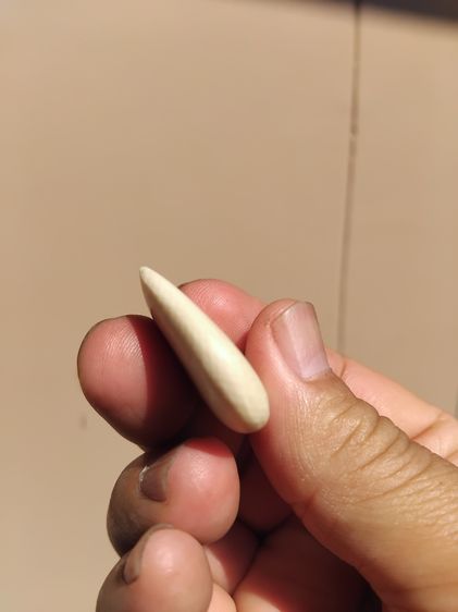 รูปหัวใจแกะ ขนาดใหญ่ หนา ของแท้ สภาพสวย เดิมๆ เนื้อออกสีน้ำนม ความเก่า ความแห้งของงา เป็นธรรมชาติ ดูง่าย หายาก รูปที่ 5