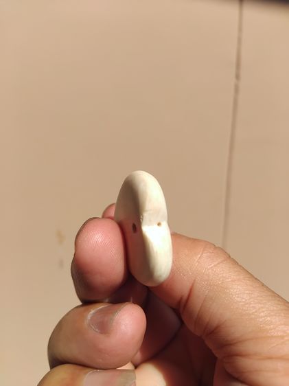 รูปหัวใจแกะ ขนาดใหญ่ หนา ของแท้ สภาพสวย เดิมๆ เนื้อออกสีน้ำนม ความเก่า ความแห้งของงา เป็นธรรมชาติ ดูง่าย หายาก รูปที่ 4