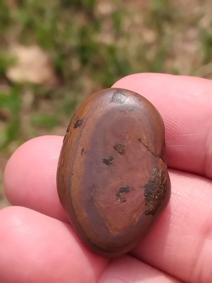 คตไม้ ขนาดกลาง เนื้อเป็นหิน ผิวแห้ง มันเงา มีน้ำหนัก เป็นของกายสิทธิ์ที่มีอิทธิฤทธิ์เกรียงไกร ใน 100 1000 ปี จึงจะเกิดขึ้นมาสักต้นหนึ่ง เกิด รูปที่ 2