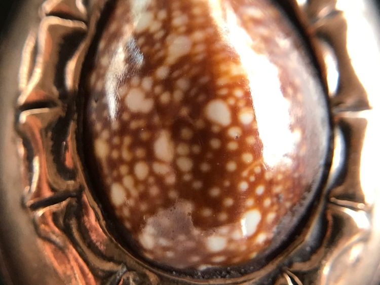 เบี้ยแก้หมง รูปที่ 14