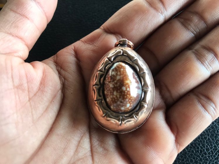 เบี้ยแก้หมง รูปที่ 9