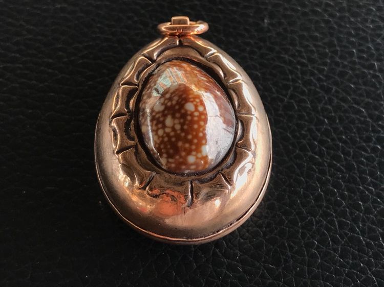 เบี้ยแก้หมง รูปที่ 17