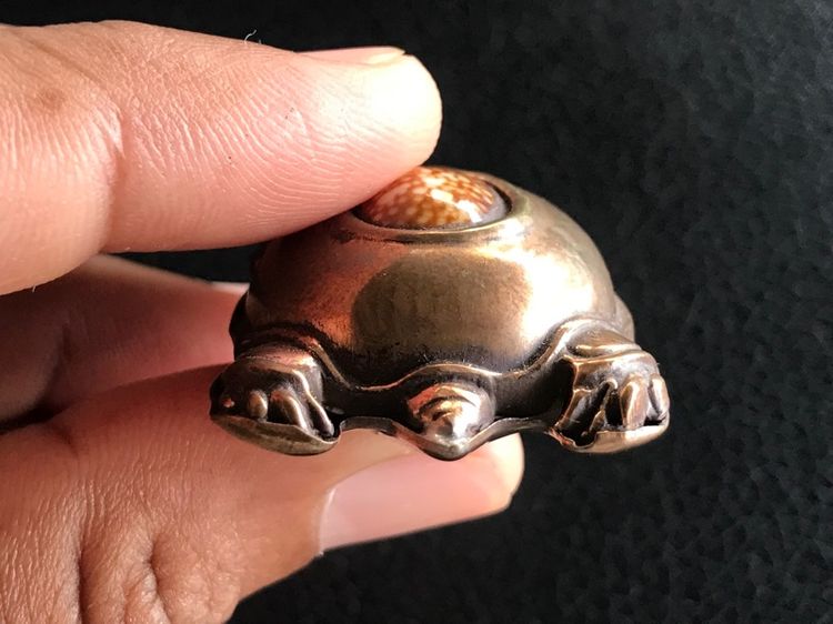 เบี้ยแก้เต่าหมง รูปที่ 4