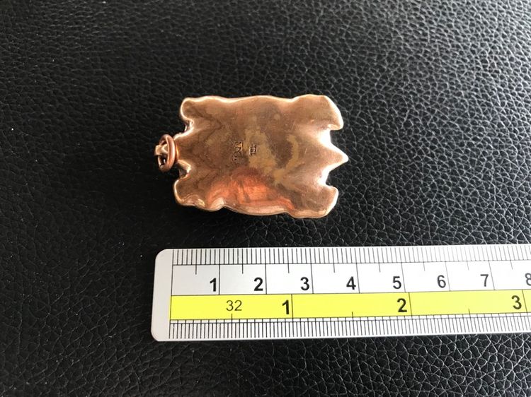 เบี้ยแก้เต่าหมง รูปที่ 10