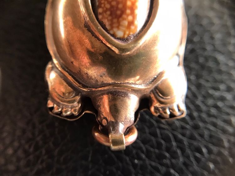 เบี้ยแก้เต่าหมง รูปที่ 15