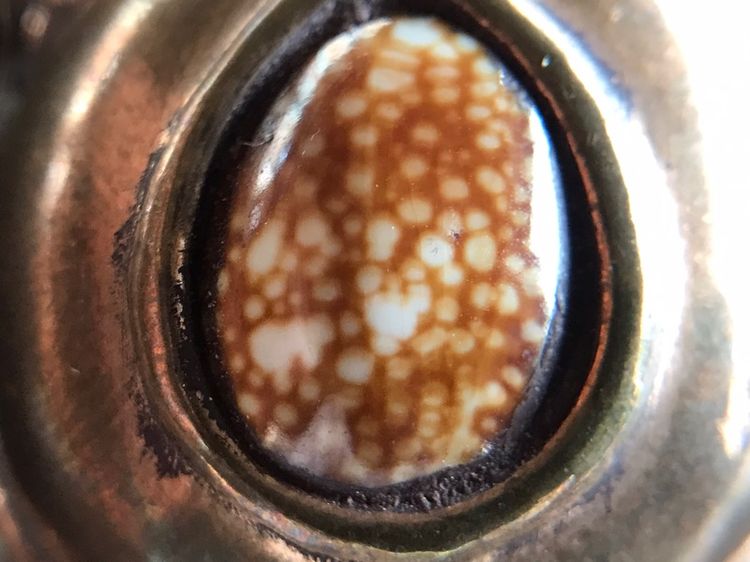 เบี้ยแก้เต่าหมง รูปที่ 16