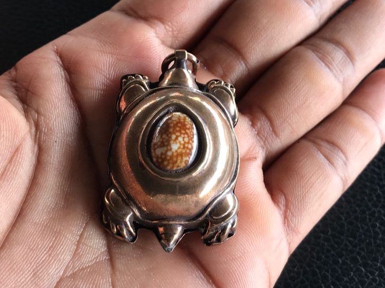 เบี้ยแก้เต่าหมง รูปที่ 7