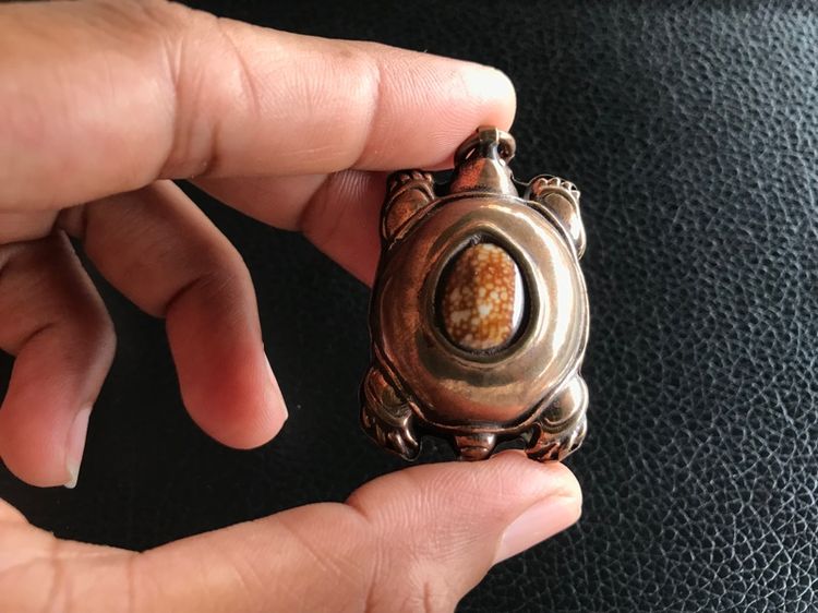 เบี้ยแก้เต่าหมง รูปที่ 18