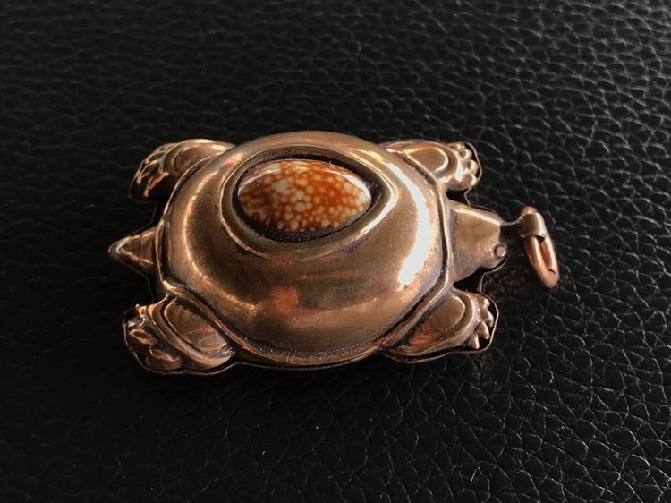 เบี้ยแก้เต่าหมง รูปที่ 11