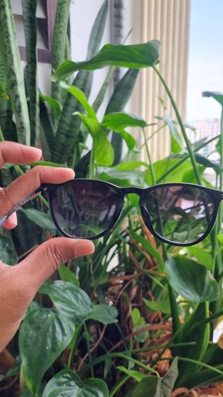 กรอบแว่น rayban erika แท้ เลนส์ลอก รูปที่ 5