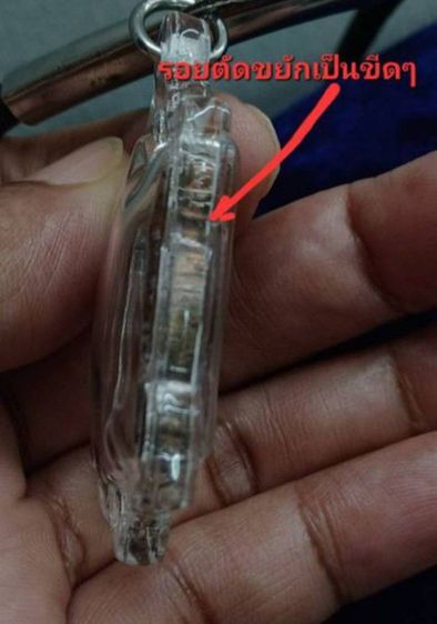 พญาเต่าเลือนหลวงพ่อหลิว วัดไร่แตงทอง รุ่นรวย รวย รวย  รูปที่ 7