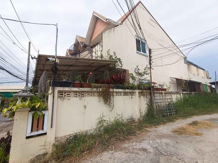 āđāļāđ ð āļāļēāļ§āļāđāđāļŪāđāļēāļŠāđ āđāļĄāļ·āļāļāļāļāļāđāļāđāļ āļĢāļēāļāļēāļāļīāđāļĻāļĐ! ð āļĢāļđāļāļāļĩāđ 3