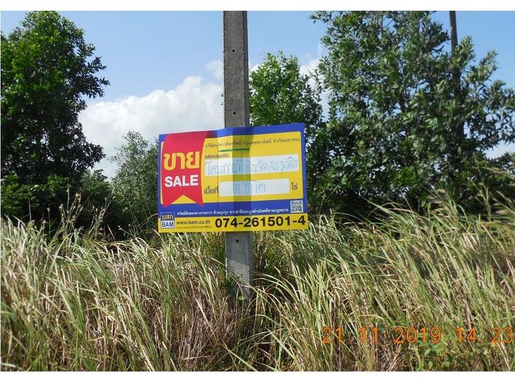 ใช่ 💖 ที่ดิน สิงหนคร ราคาพิเศษ! 💖 รูปที่ 3