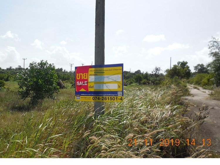 ใช่ 💖 ที่ดิน สิงหนคร ราคาพิเศษ! 💖 รูปที่ 3