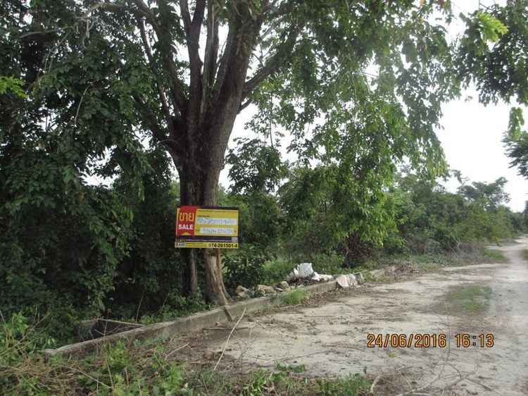 ใช่ 💖 ที่ดิน สิงหนคร ราคาพิเศษ! 💖 รูปที่ 4