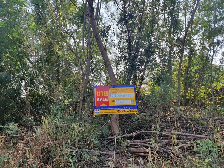 ใช่ 💖 ที่ดิน เมืองนครสวรรค์ ราคาพิเศษ! 💖 รูปที่ 2