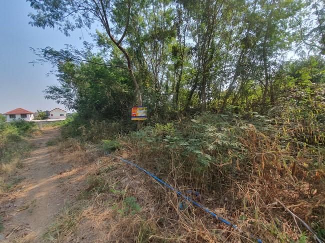 ใช่ 💖 ที่ดิน เมืองนครสวรรค์ ราคาพิเศษ! 💖 รูปที่ 3