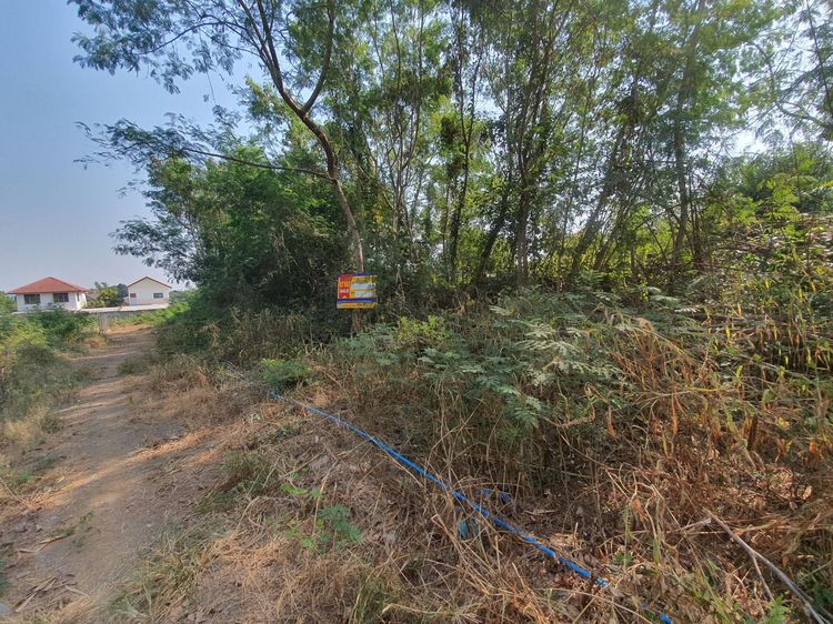 ใช่ 💖 ที่ดิน เมืองนครสวรรค์ ราคาพิเศษ! 💖