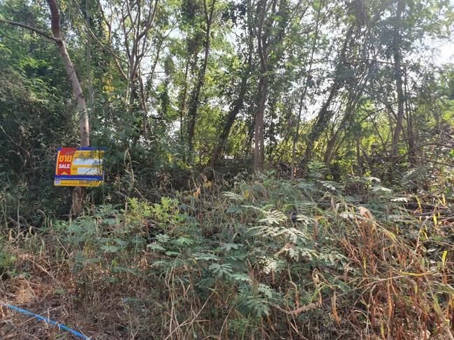 ใช่ 💖 ที่ดิน เมืองนครสวรรค์ ราคาพิเศษ! 💖 รูปที่ 4