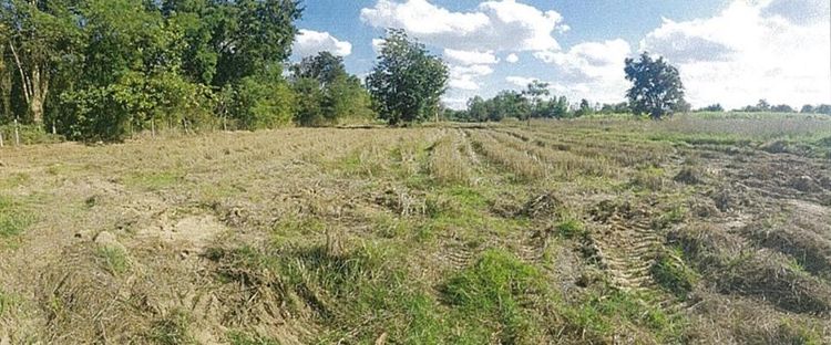 ใช่ 💖 ที่ดิน ภูเวียง ราคาพิเศษ! 💖 รูปที่ 4