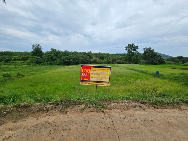 ใช่ 💖 ที่ดิน เชียงคาน ราคาพิเศษ! 💖 รูปที่ 3