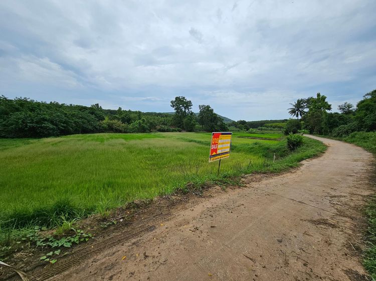 ใช่ 💖 ที่ดิน เชียงคาน ราคาพิเศษ! 💖 รูปที่ 2