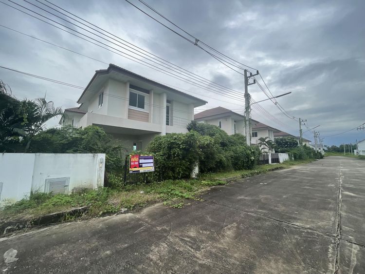 ใช่ 💖 บ้าน หางดง ราคาพิเศษ! 💖 รูปที่ 2