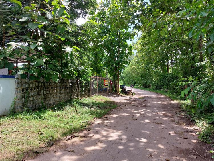 ใช่ 💖 บ้าน เมืองลำปาง ราคาพิเศษ! 💖 รูปที่ 2